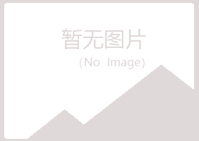 岳西县映波化学有限公司